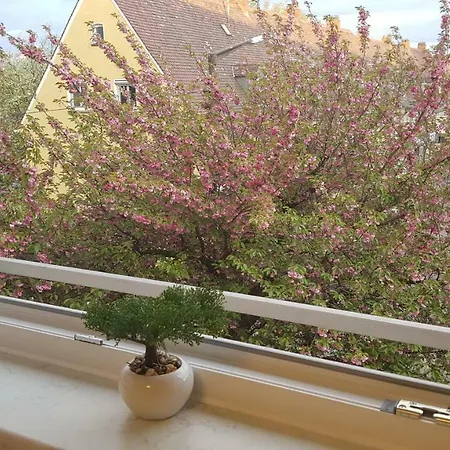 Ferienwohnung Cifci Apartment *